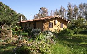 Tharros B&B
